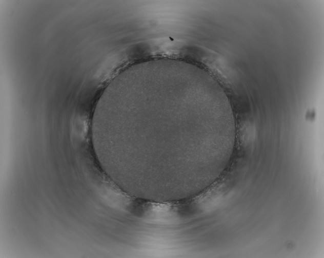 X0000089940709200707201903