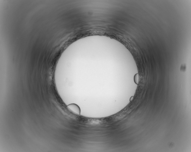 X0000089940710200707201903