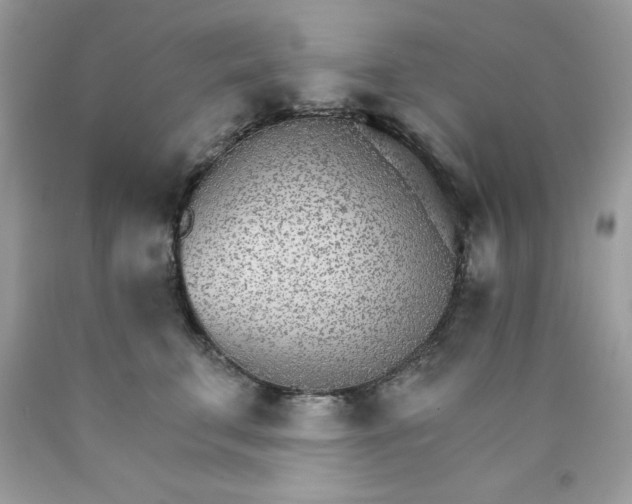 X0000089940711200707201903