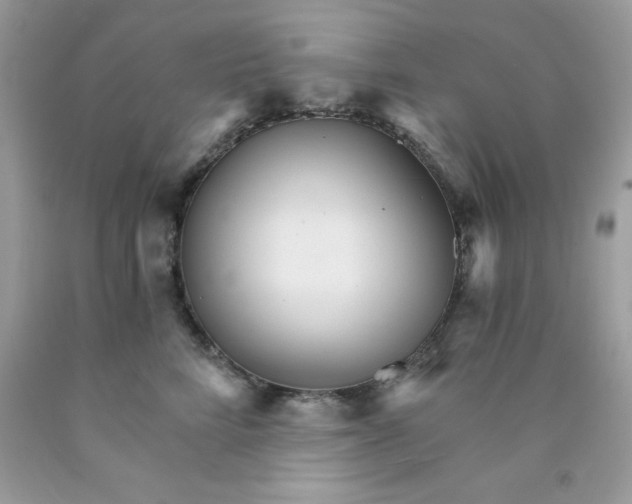 X0000089940712200707201903