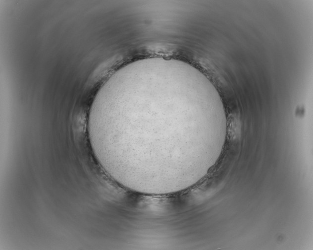 X0000089940713200707201903