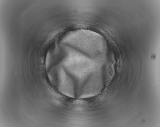 X0000089940714200707201903