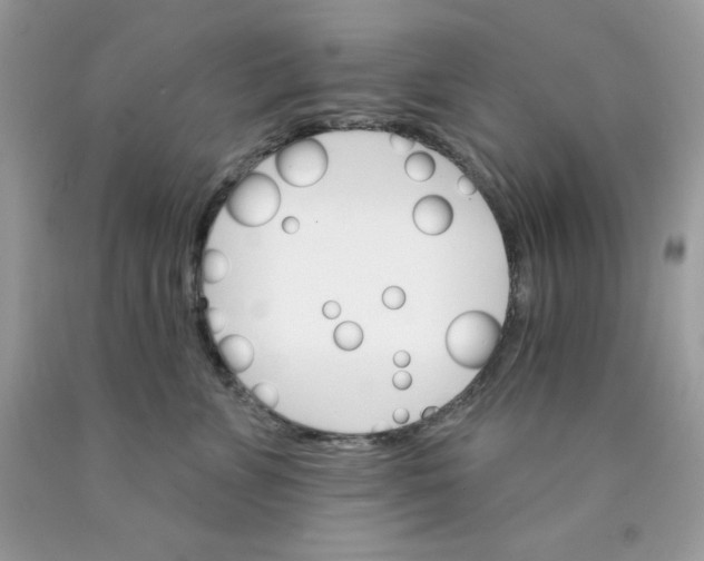 X0000089940715200707201903