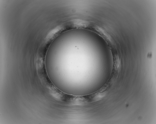 X0000089940716200707201903