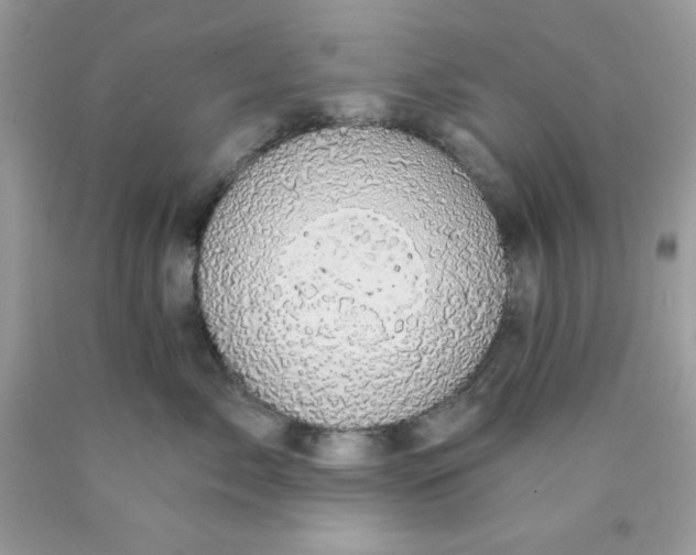 X0000089940717200707201903