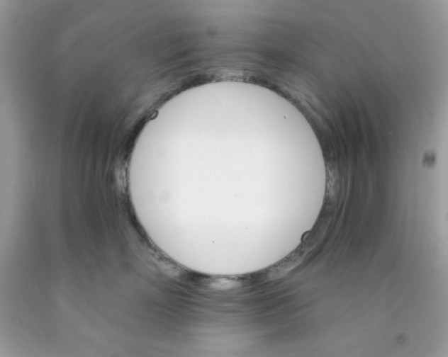 X0000089940718200707201903