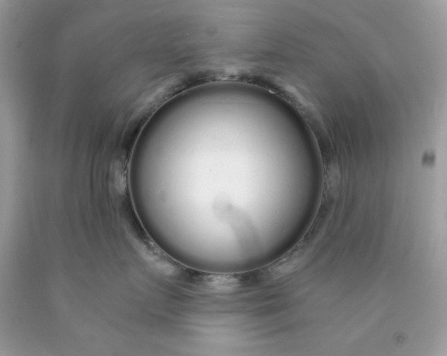 X0000089940719200707201903