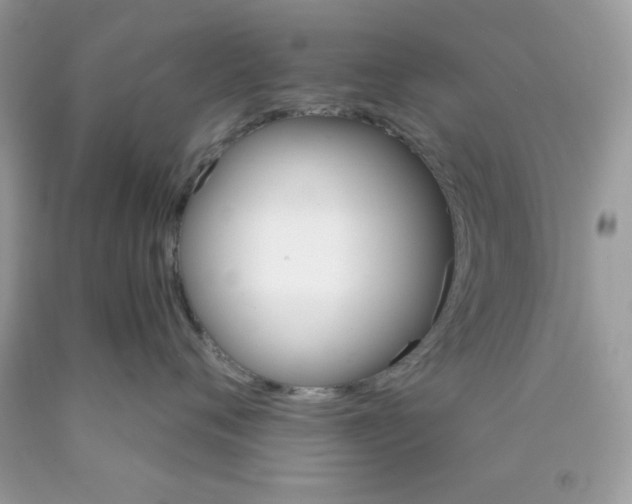 X0000089940720200707201903