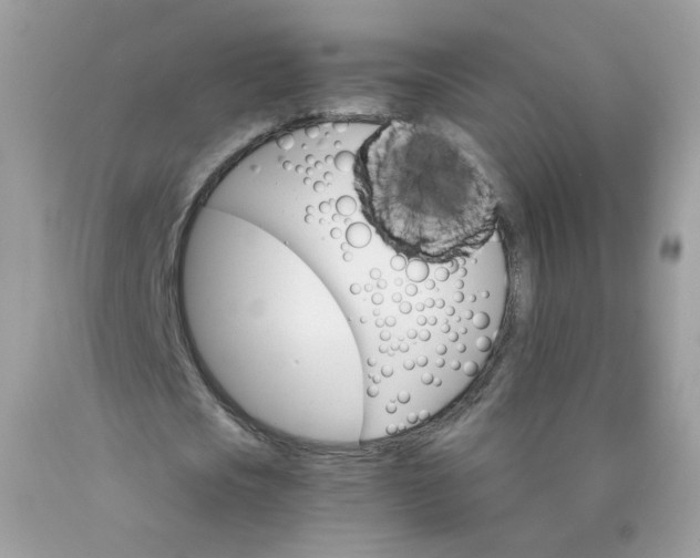 X0000089940721200707201902