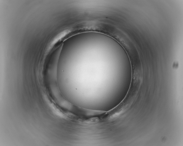 X0000089940722200707201902