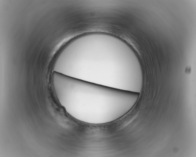 X0000089940723200707201902