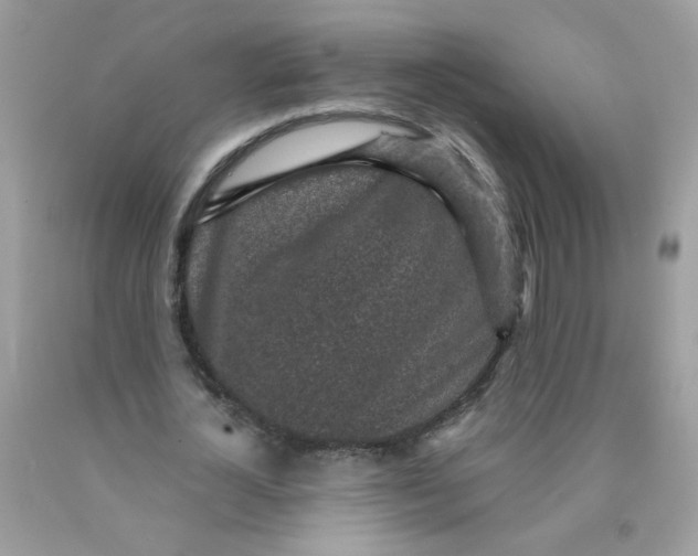 X0000089940724200707201902