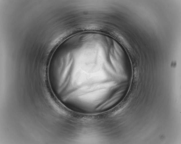 X0000089940725200707201902