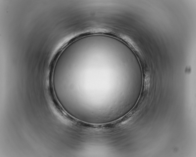 X0000089940726200707201902