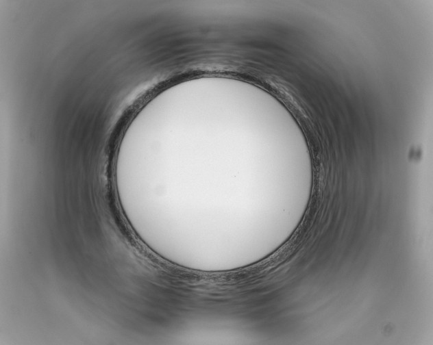 X0000089940727200707201902