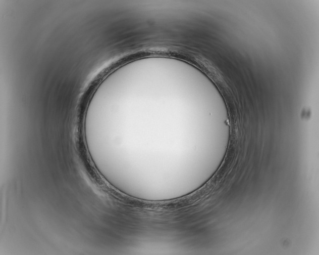 X0000089940728200707201902