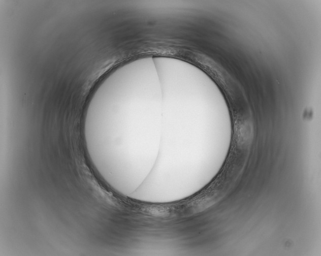 X0000089940729200707201902