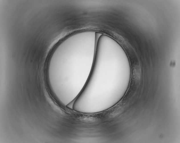 X0000089940730200707201902