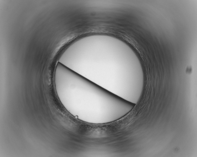 X0000089940731200707201902