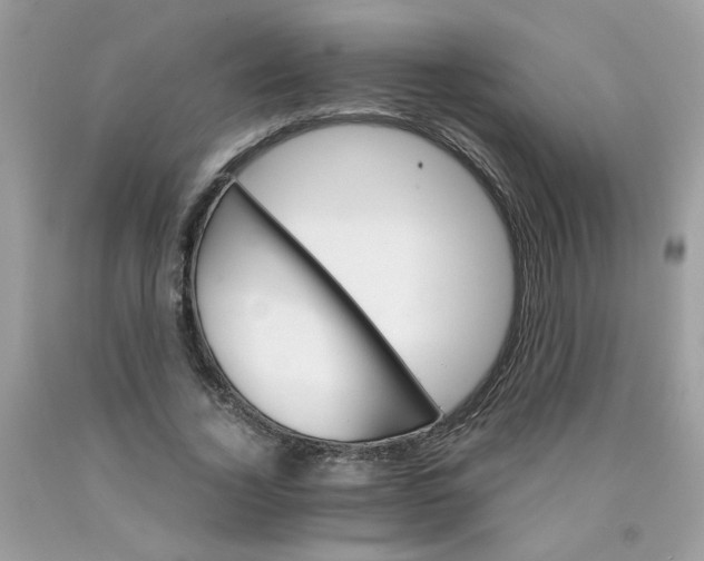 X0000089940732200707201902