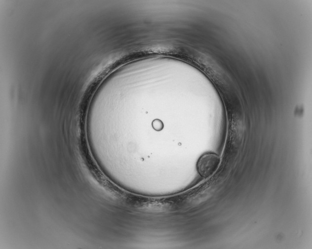 X0000089940734200707201902