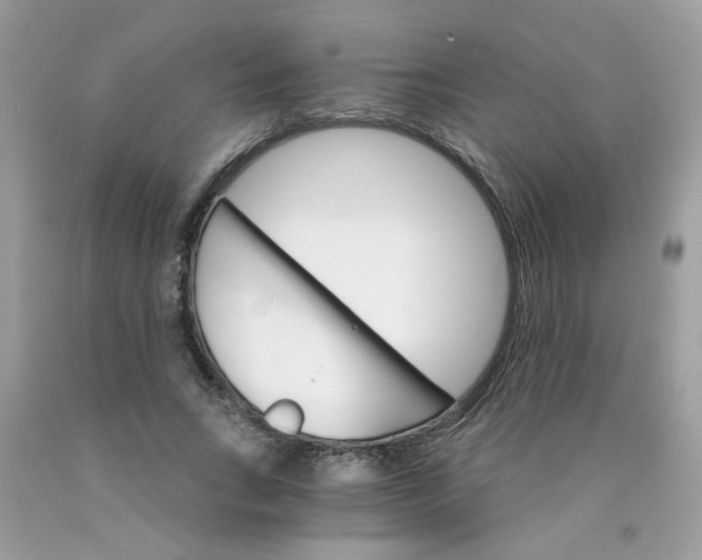 X0000089940735200707201902