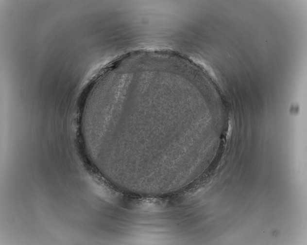 X0000089940736200707201902