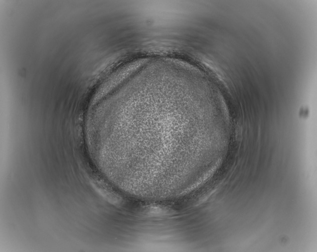 X0000089940737200707201902