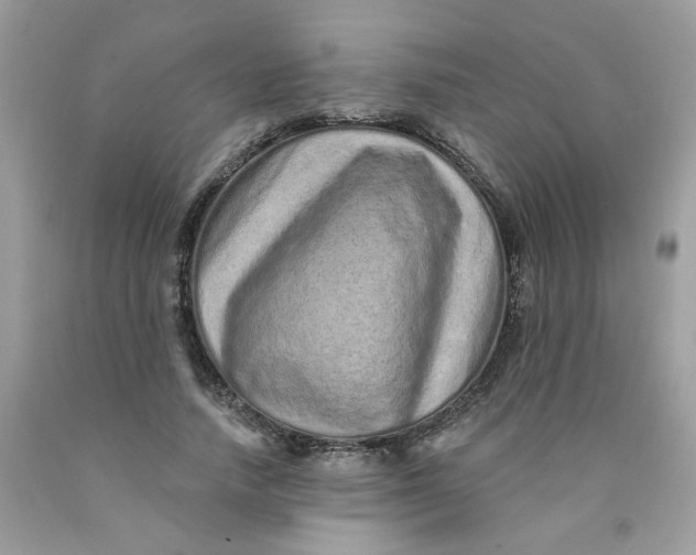 X0000089940738200707201902