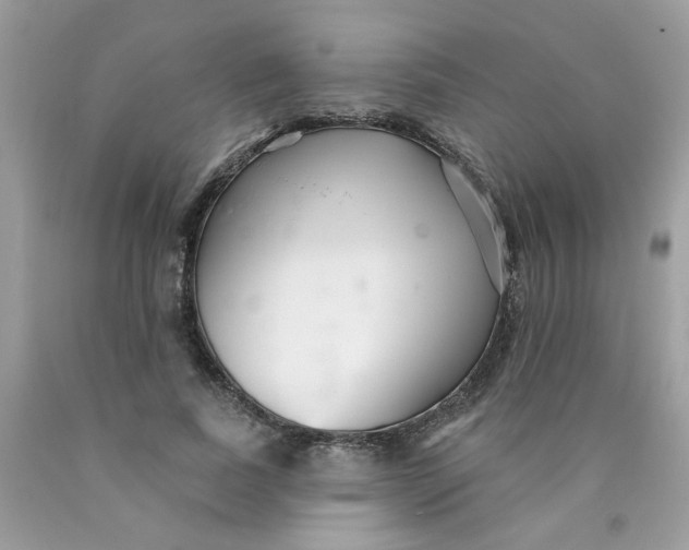 X0000089940739200707201902