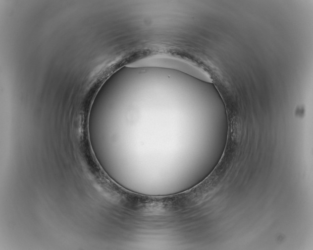 X0000089940740200707201902