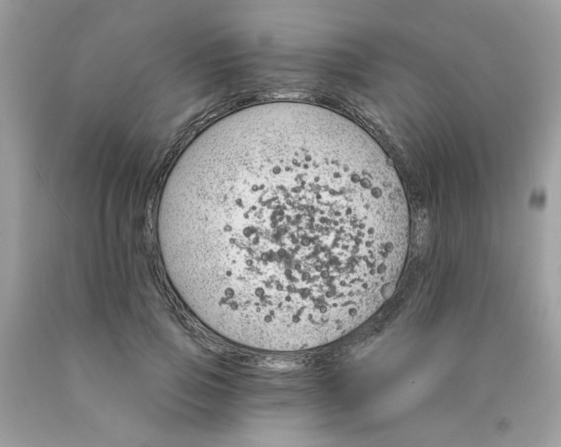 X0000089940741200707201902