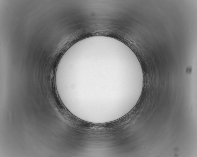 X0000089940742200707201902