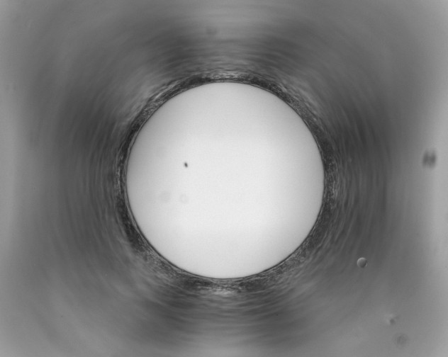 X0000089940743200707201902