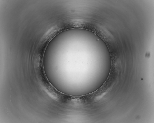 X0000089940744200707201902