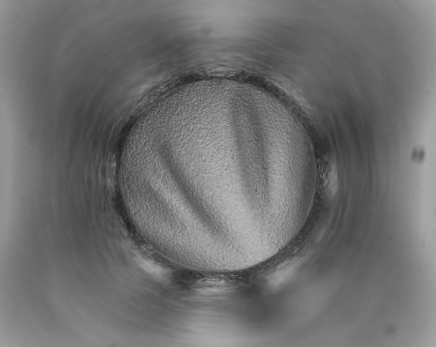 X0000089940745200707201902