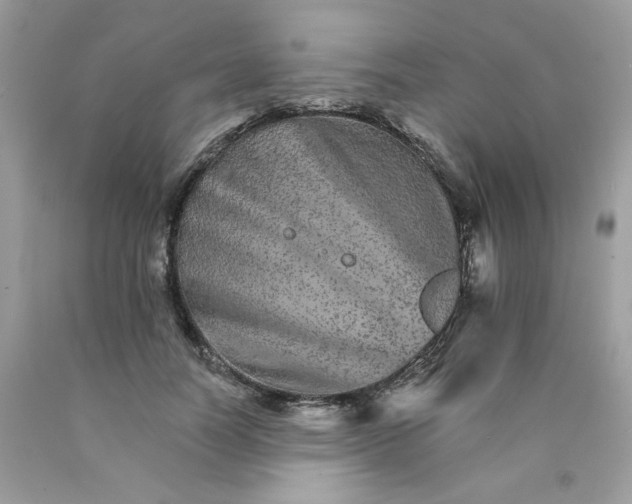 X0000089940746200707201902