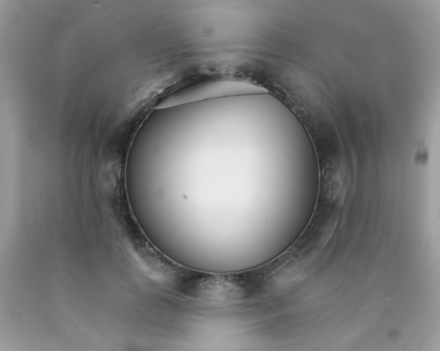 X0000089940747200707201903