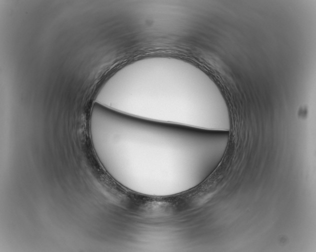 X0000089940748200707201903