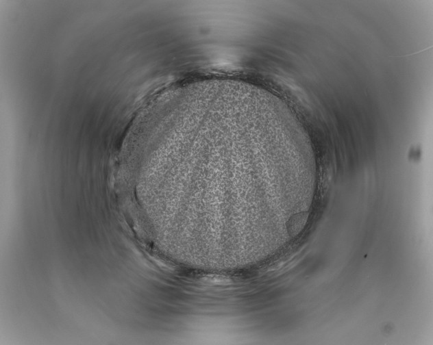 X0000089940749200707201903