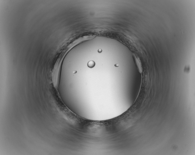 X0000089940750200707201903