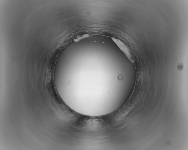 X0000089940751200707201903