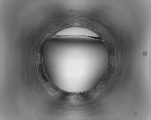 X0000089940752200707201903