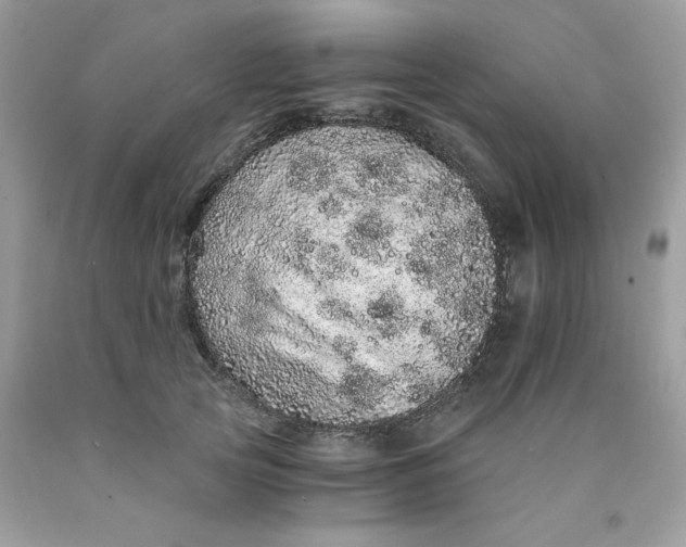 X0000089940753200707201903