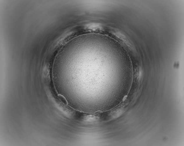 X0000089940754200707201903