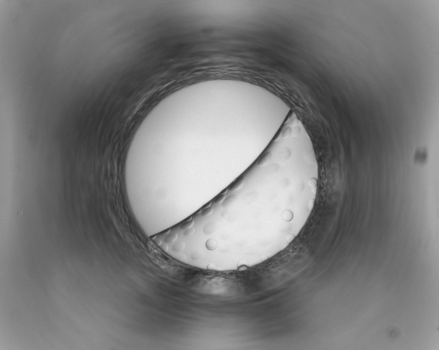 X0000089940755200707201903