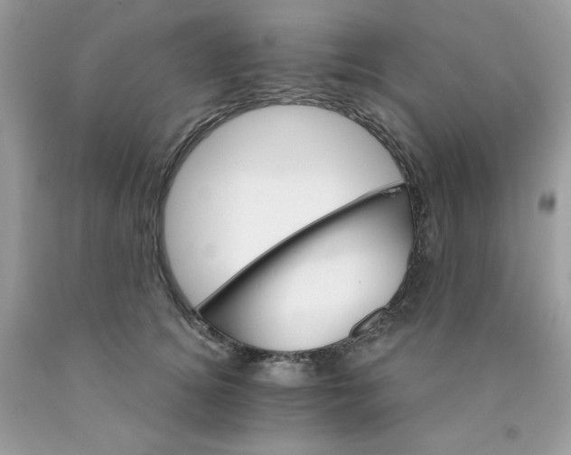 X0000089940756200707201903