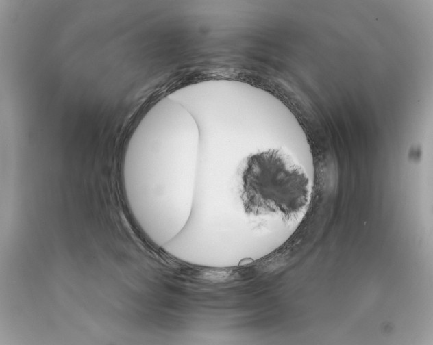 X0000089940757200707201903