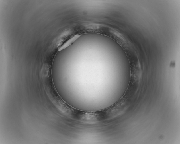 X0000089940758200707201903