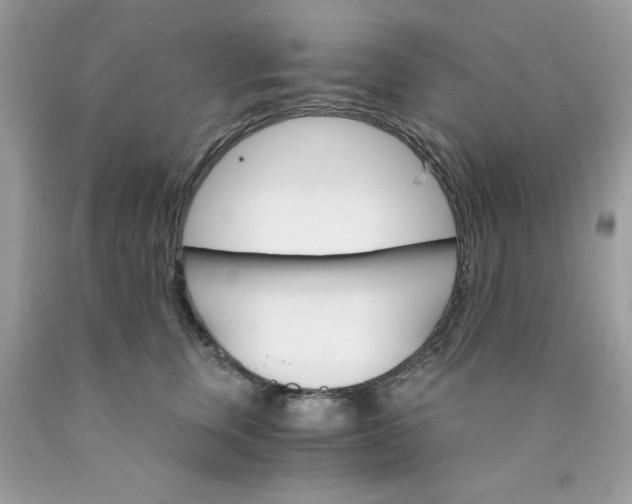 X0000089940759200707201903